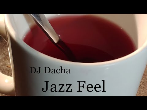 DJ Dacha - Jazz Feel - DL169 (Soulful Deep House Music DJ Mix)