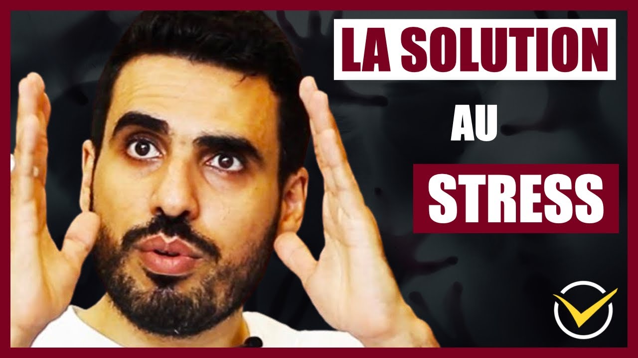 COMMENT MOINS STRESSER - Idriss Aberkane