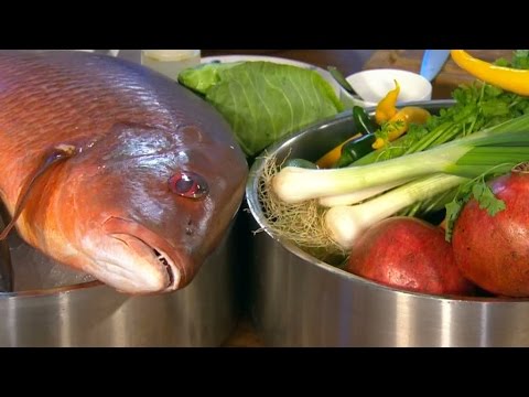 Danyel Couet bjuder på sydamerikansk klassiker - Nyhetsmorgon (TV4)