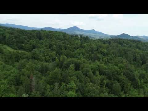 Oxigen la Pensiunea Poiana Marului