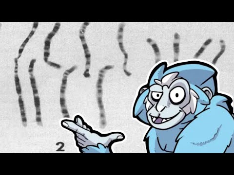 Human Chromosome 2 VS Creationism | Bite-Sized Busts