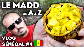 LE MADD (Saba Senegalensis) - VLOG SÉNÉGAL - COMMENT FAIRE DE LA CONFITURE