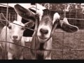 The Gourds - Two Goats