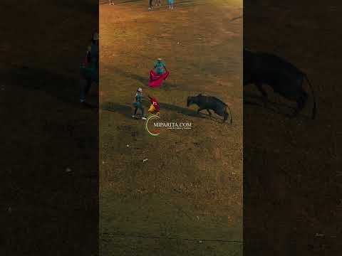 Segundo dia de toros en la Plaza Colonial de Parita.short