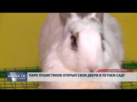 Новости Псков 05.06.2018 # Парк пушистиков открыл свои двери в Летнем саду 