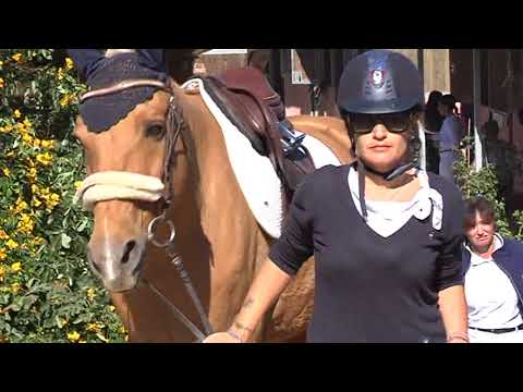 campionato equestri asi all'equiconfor cerveteri