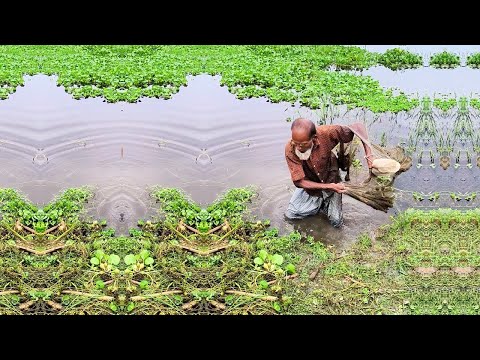 Unbelievable Net Fishing - Huge Catch in One Throw - Big Fish Trapped in Fishing Net
