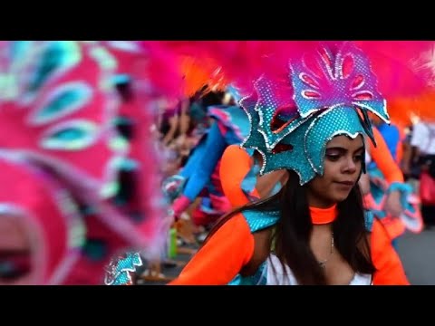 Revellers take part in Costa Rica carnival parade