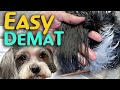 2 EASY WAYS To De Mat Your DOG At Home NATURALLY