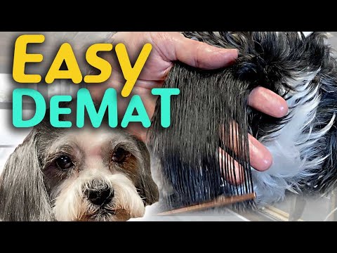 YouTube video about: How to soften coarse dog hair?
