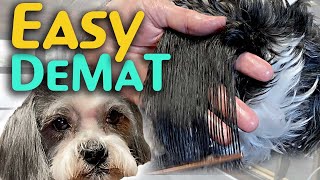 2 EASY WAYS to De-Mat your DOG at home NATURALLY