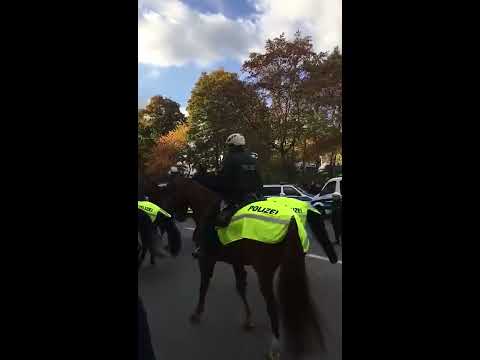 Vor dem Spiel Dortmund vs. Schalke (Borussia Dortmund - FC Schalke 04 | 29.10.16)
