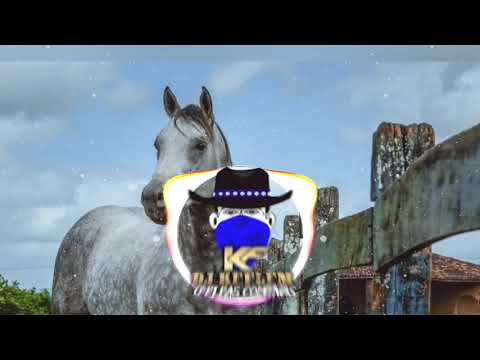 Tá Mec Mec - Forrozão Arrastão Minas - Dj Keflem O Dj Das Comitivas -