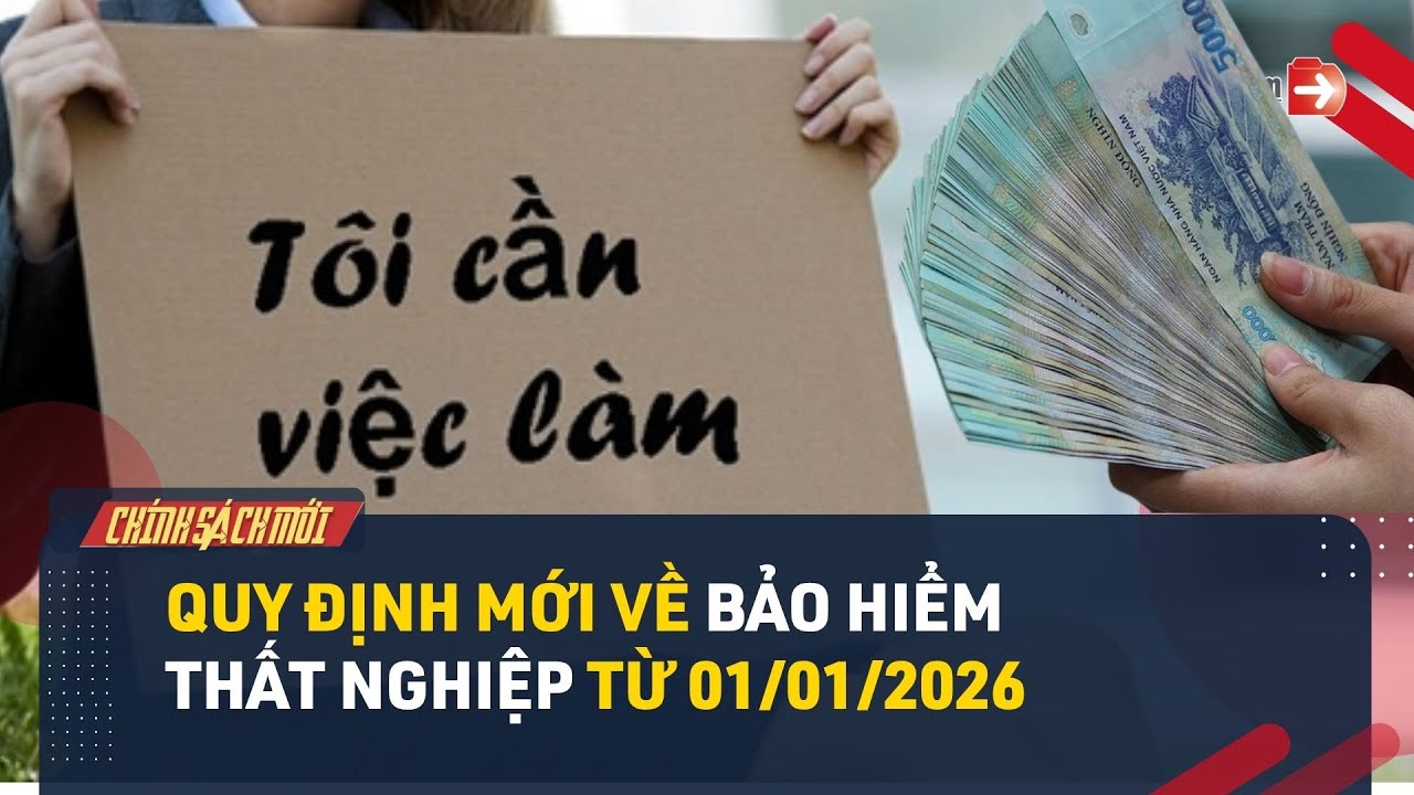 Quy định mới về bảo hiểm thất nghiệp từ 01/1/2026 NLĐ cần biết