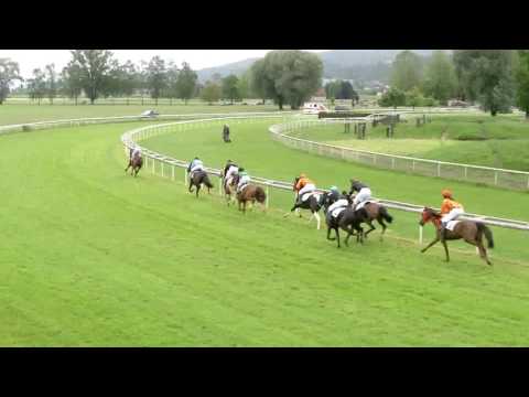 Frauenfeld/12.06.2016/Poneys D