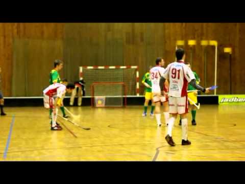 Znojmo-Paskov florbal