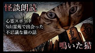 【怪談朗読】心霊スポットS山霊苑で出会った不思議な猫の話「鳴いた猫」 #怪談