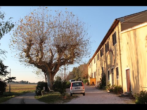Sette lentiggini di me Qian cinese li candeggiando risposte alla panna