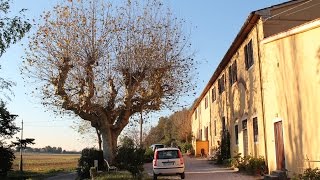 Io Faccio Così #63 - Il Centro Nuovo Modello di Sviluppo