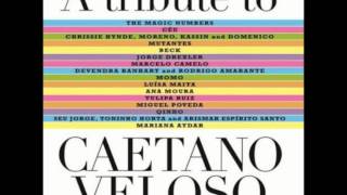QINHO - Qualquer Coisa (Caetano Veloso)