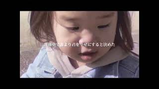 ウェディング/音田雅則　　歌詞動画