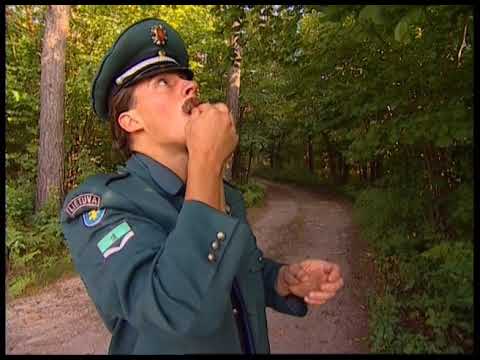 Dzino Show - Kokoso pienas