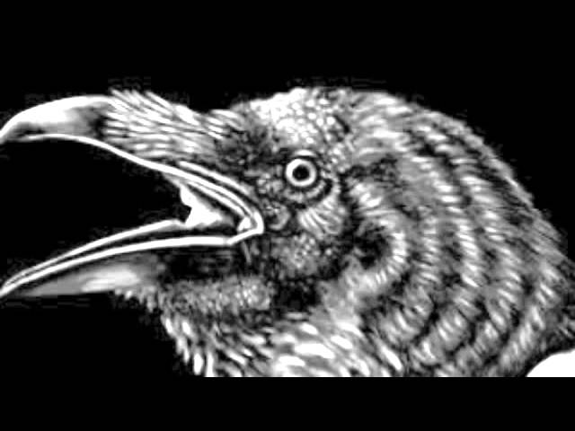 Vídeo relacionado con El Cuervo: Audiolibro ambientado