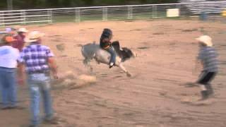 HCC Miniature Bull Buck Out 7/18/12  Vid 223 Tyler Thomas