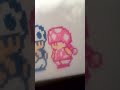SMB2 Toad And Toadette