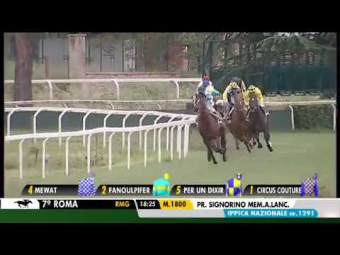 2017.05.01 Premio Signorino Mem. A. Lancellotti (ITA) - Per Un Dixir