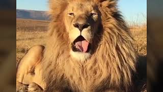 Watts cases⁦🏵️⁩morning