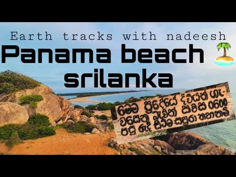 දිවියන් ගැවසෙන පානම වෙරළ | #Panama 🏝 #beach #trandingvideo