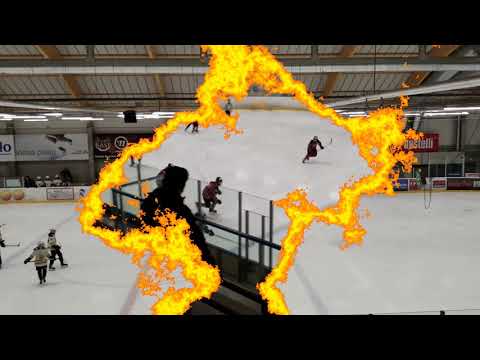 Maalikooste Ässät - Ilves 2.12.2018