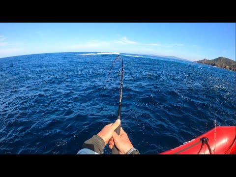 Lanseta Yamaga Blue Sniper 81/6 Blacky Tuna 2.48m 30-110g Moderate Fast