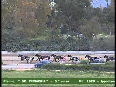 5° CORSA  del 12 Aprile 2014