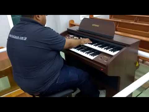 Órgão Eletrônico Tokai MD-7 - Loja Teclasom