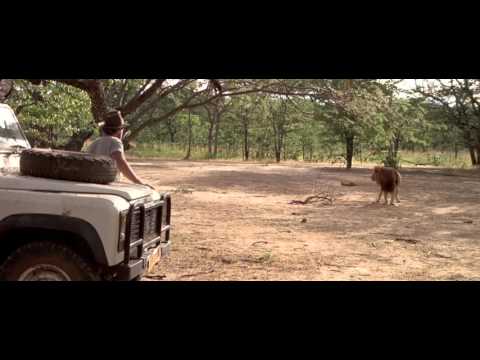 Itinéraire d'un enfant gâté (1988) -  Lion