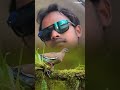 Hindisong Koyal Si Teri Boli 4K Video Your Speech Is Like A Cuckoo Beta Movie Song