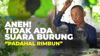Misteri Makam Mbayek Sambi Boyolali, Tidak Ada Suara Burung Walaupun Rimbun Pepohonan