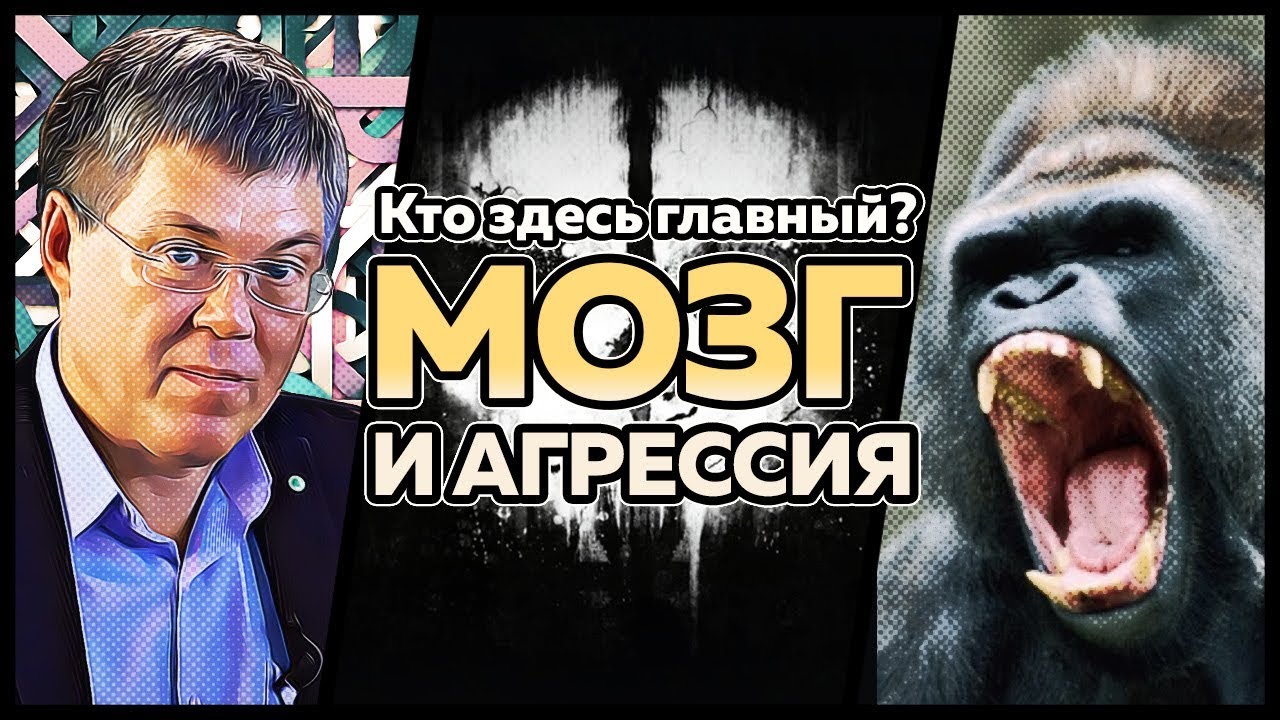 ��������� ����� �� ����� - ��� ������ ����