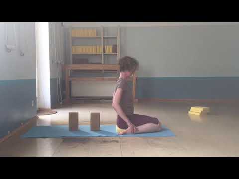 # 1 Iyengar Yoga / zwei Sitzhaltungen  / Hund Kopf nach unten u Kopf nach oben / mit Antje