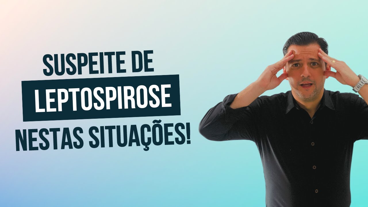 Leptospirose em cães e gatos