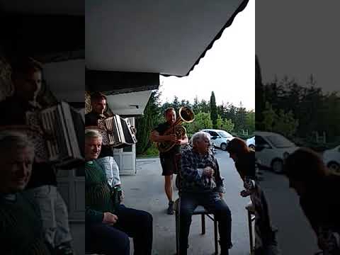 HARMONIKA TIMI ZAJC C F B - PLAZNIK STIMA - TIMI ZAJC & MARKO ZAJC