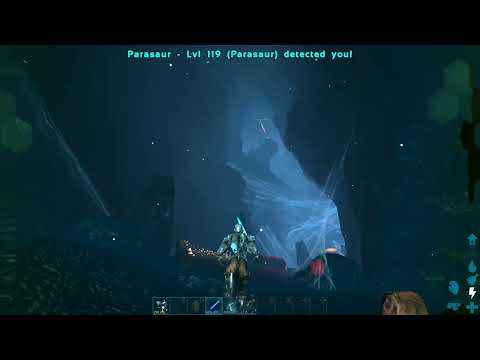 Raiding val spider cave bbx