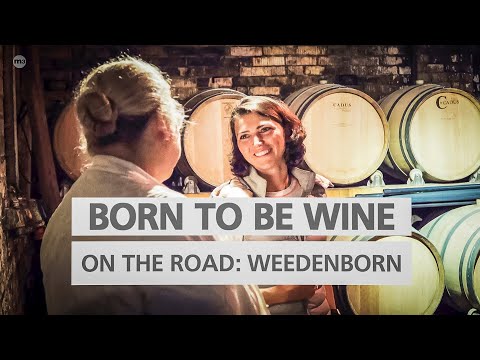 BORN TO BE WINE on the road – Zu Besuch auf Weingut Weedenborn