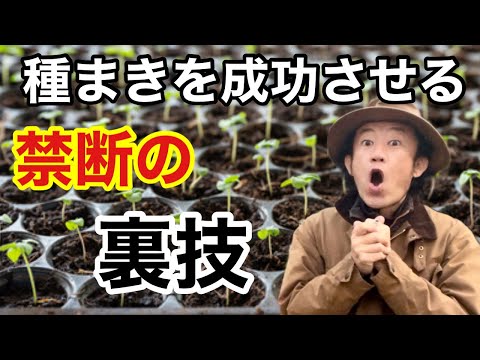 屋内での播種 種子の開始 ステップ カレンダー ガーデニング 4月のアイデア