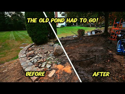Transforming a basic pond into an incredible pond!