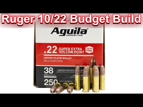 Ruger 10/22 Budget Project Ammo Test: Aguila Super Extra 22lr - 50 Yards