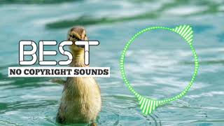 Download lagu Fluffing Duck | No Copyright Background Music | No Copyright Music | Ncs | Best NCR Sounds mp3
