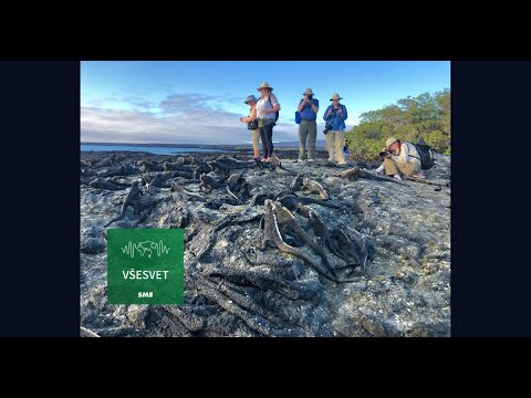 S9E0: GALÁPAGOS - Blue Footed Boobies (first English episode)